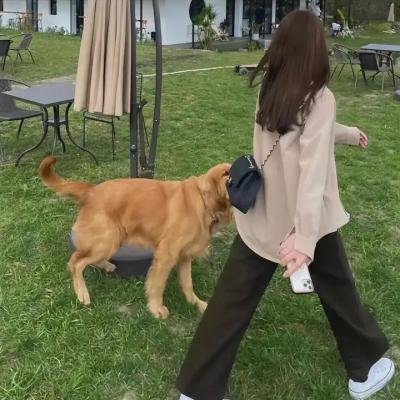 七个小偷