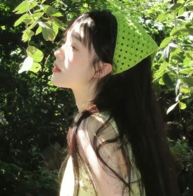 与鲨鱼游弋